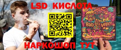 PSILOCYBIN Гусев