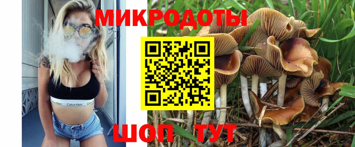Галлюциногенные грибы Psilocybe Комсомольск-на-Амуре