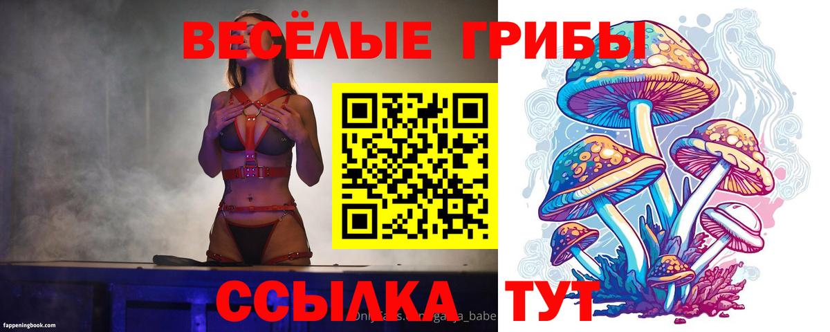 купить  сайты  Вход с VPN  Галлюциногенные грибы ЛСД  Комсомольск-на-Амуре  Псилоцибиновые грибы Cubensis 